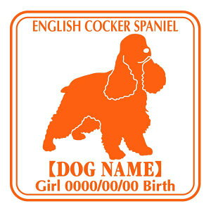 CObVRbJ[XpjG XebJ[ Ep^[ ObY O V[ fJ[ VGbg  JbRCC JbR IWi  car J[ V[ fJ[   C