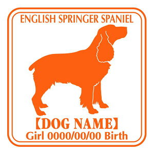 CObVXvK[XpjG XebJ[ Ep^[ ObY O V[ fJ[ VGbg  JbRCC JbR IWi  car J[ V[ fJ[  