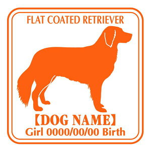 tbgR[ebhg[o[  XebJ[ O V[ fJ[ VGbg Ep^[ J[ V[ fJ[   Ck VGbg e A ANZT[ O name KX Xeb