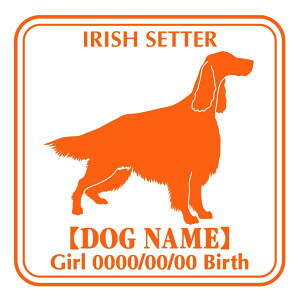 ACbVZ^[  XebJ[ O V[ fJ[ VGbg Ep^[ J[ V[ fJ[   Ck VGbg e A ANZT[ O name KX XebJ[  oCN