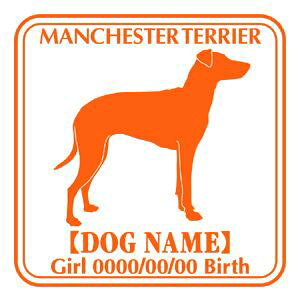 }`FX^[eA XebJ[ Ep^[ ObY O V[ fJ[ VGbg  JbRCC JbR IWi  car J[ V[ fJ[   Ck V