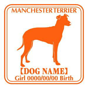 }`FX^[eA΂ߌ XebJ[ Ep^[ ObY O V[ fJ[ VGbg  JbRCC JbR IWi  car J[ V[ fJ[   Ck V