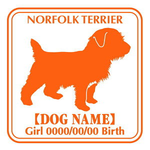 m[tH[NeA XebJ[ Ep^[ ObY O V[ fJ[ VGbg  JbRCC JbR IWi  car J[ V[ fJ[   Ck VGbg e