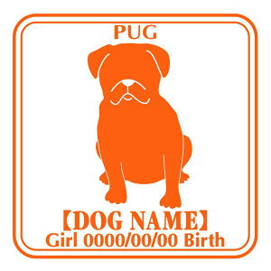 pO XebJ[ Ep^[ ObY O V[ fJ[ VGbg  JbRCC JbR IWi  car J[ V[ fJ[   Ck VGbg e A ANZT