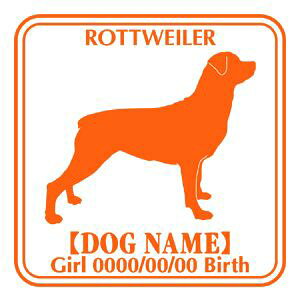 bgC[ XebJ[ Ep^[ ObY O V[ fJ[ VGbg  JbRCC JbR IWi  car J[ V[ fJ[   Ck VGbg e 