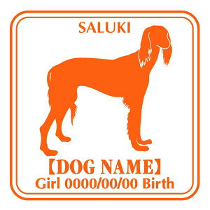 T[L XebJ[ Ep^[ ObY O V[ fJ[ VGbg  JbRCC JbR IWi  car J[ V[ fJ[   Ck VGbg e A AN