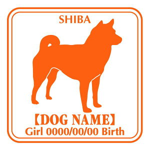   XebJ[ O V[ fJ[ VGbg Ep^[XebJ[ V[ fJ[ VGbg  J[ V[ fJ[   Ck VGbg e A ANZT[ J[ V[ 