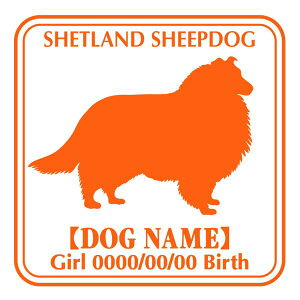 VFbghV[vhbO XebJ[ Ep^[ ObY O V[ fJ[ VGbg  JbRCC JbR VFeB[ IWi  car J[ V[ fJ[  