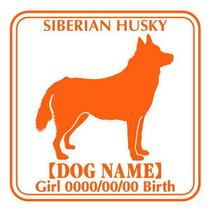 VxAnXL[  XebJ[ O V[ fJ[ VGbg Ep^[ J[ V[ fJ[   Ck VGbg e A ANZT[ O name KX XebJ[  oCN