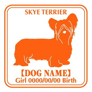 XJCeA XebJ[ Ep^[ ObY O V[ fJ[ VGbg  JbRCC JbR IWi  car J[ V[ fJ[   Ck VGbg e A 