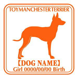 gC}`FX^[eA  XebJ[ O V[ fJ[ VGbg Ep^[ J[ V[ fJ[   Ck VGbg e A ANZT[ O name KX Xeb