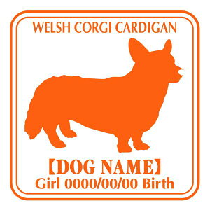 EFVR[M[J[fBA XebJ[ Ep^[ ObY O V[ fJ[ VGbg  JbRCC JbR R[M[ IWi  car J[ V[ fJ[  