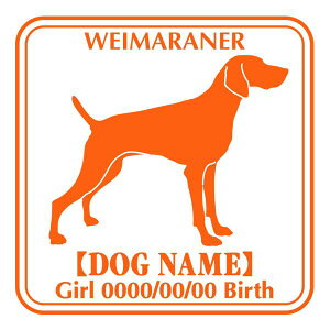 C}i[  XebJ[ O V[ fJ[ VGbg Ep^[ J[ V[ fJ[   Ck VGbg e A ANZT[ O name KX XebJ[  oCN X[