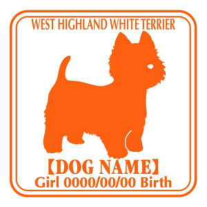 EGXgnChzCgeAnew XebJ[ Ep^[ ObY O V[ fJ[ VGbg  JbRCC JbR EGXeB[ IWi  car J[ V[ fJ