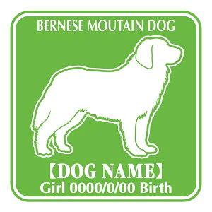 o[j[Y}EehbO  XebJ[ O V[ fJ[ VGbg Fp^[XebJ[ V[ fJ[ VGbg  J[ V[ fJ[   Ck VGbg e A A