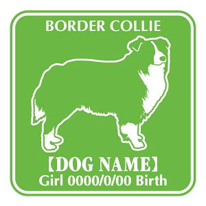 {[_[R[  XebJ[ O V[ fJ[ VGbg Fp^[XebJ[ V[ fJ[ VGbg  J[ V[ fJ[   Ck VGbg e A ANZT