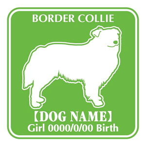 {[_[R[  XebJ[ O V[ fJ[ VGbg Fp^[XebJ[ V[ fJ[ VGbg  J[ V[ fJ[   Ck VGbg e A ANZT[ 