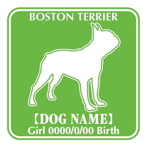 {XgeA  XebJ[ O V[ fJ[ VGbg Fp^[XebJ[ V[ fJ[ VGbg  J[ V[ fJ[   Ck VGbg e A ANZT