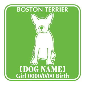 {XgeA  XebJ[ O V[ fJ[ VGbg Fp^[XebJ[ V[ fJ[ VGbg  J[ V[ fJ[   Ck VGbg e A ANZT