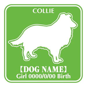 R[ XebJ[ O V[ fJ[ VGbg Fp^[XebJ[ V[ fJ[ VGbg  J[ V[ fJ[   Ck VGbg e A ANZT[ XebJ[ 