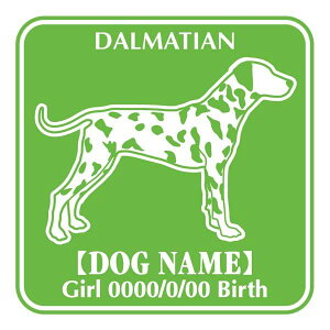 _VA XebJ[ O V[ fJ[ VGbg Fp^[XebJ[ V[ fJ[ VGbg  J[ V[ fJ[   Ck VGbg e A ANZT[ 