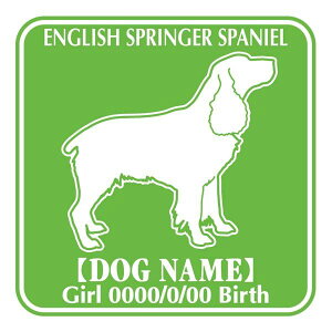 CObVXvK[XpjG XebJ[ O V[ fJ[ VGbg Fp^[XebJ[ V[ fJ[ VGbg  J[ V[ fJ[   Ck VGbg e