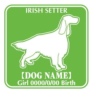 ACbVZ^[ XebJ[ O V[ fJ[ VGbg Fp^[XebJ[ V[ fJ[ VGbg  J[ V[ fJ[   Ck VGbg e A ANZT[ 