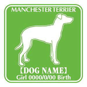 }`FX^[eA XebJ[ O V[ fJ[ VGbg Fp^[XebJ[ V[ fJ[ VGbg  J[ V[ fJ[   Ck VGbg e A AN