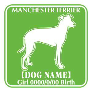 }`FX^[eA΂ߌ XebJ[ O V[ fJ[ VGbg Fp^[XebJ[ V[ fJ[ VGbg  J[ V[ fJ[   Ck VGbg e A A