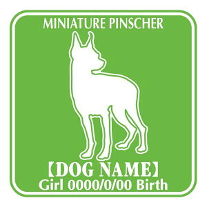 ~j`AsV[ XebJ[ O V[ fJ[ VGbg Fp^[XebJ[ V[ fJ[ VGbg  J[ V[ fJ[   Ck VGbg e A ANZT