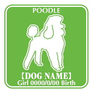 gCv[h΂ߌ XebJ[ O V[ fJ[ VGbg Fp^[XebJ[ V[ fJ[ VGbg  J[ V[ fJ[   Ck VGbg e A ANZT