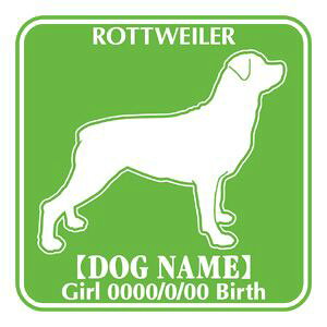 bgC[ XebJ[ O V[ fJ[ VGbg Fp^[XebJ[ V[ fJ[ VGbg  J[ V[ fJ[   Ck VGbg e A ANZT[ Xe