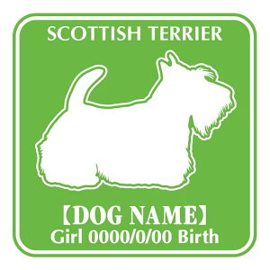 XReBbVeA XebJ[ O V[ fJ[ VGbg Fp^[XebJ[ V[ fJ[ VGbg  J[ V[ fJ[   Ck VGbg e A ANZT