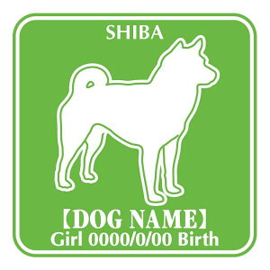  XebJ[ O V[ fJ[ VGbg Fp^[XebJ[ V[ fJ[ VGbg  J[ V[ fJ[   Ck VGbg e A ANZT[ XebJ[  o