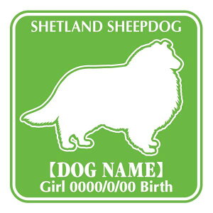 VFbghV[vhbO XebJ[ O V[ fJ[ VGbg Fp^[XebJ[ V[ fJ[ VGbg  J[ V[ fJ[   Ck VGbg e A AN