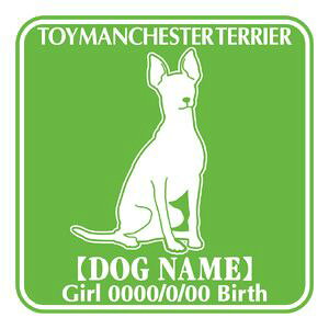 gC}`FX^[eA XebJ[ O V[ fJ[ VGbg Fp^[XebJ[ V[ fJ[ VGbg  J[ V[ fJ[   Ck VGbg e A 