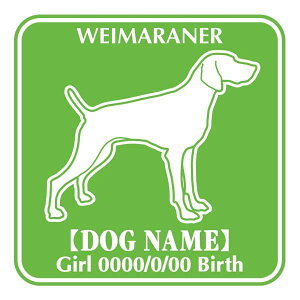 C}i[ XebJ[ O V[ fJ[ VGbg Fp^[XebJ[ V[ fJ[ VGbg  J[ V[ fJ[   Ck VGbg e A ANZT[ Xeb