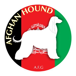 AtKnEh@ObY XebJ[܂ sSTCYi3Zbgjt XebJ[ V[ fJ[ VGbg  J[ V[ fJ[   Ck VGbg e A ANZT[ Xe