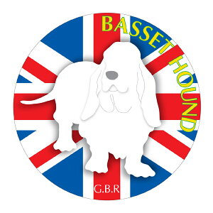 oZbgnEh }EXpbh z z ObY  CXg  Aj} hbO }EXpbg   Ck VGbg e ANZT[