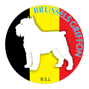 ubZOtH }EXpbh z z ObY  CXg  Aj} hbO }EXpbg   Ck VGbg e ANZT[