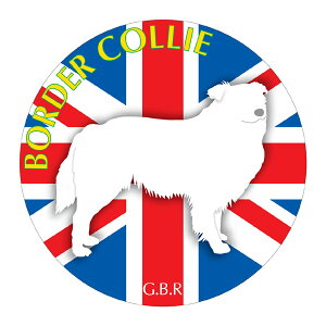 {[_[R[ }EXpbh z z ObY  CXg  Aj} hbO }EXpbg   Ck VGbg e ANZT[