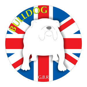 uhbO }EXpbh z z ObY  CXg  Aj} hbO }EXpbg   Ck VGbg e ANZT[