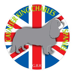 LoALO`[YXpjG }EXpbh z z ObY  CXg  Aj} hbO }EXpbg   Ck VGbg e ANZT[