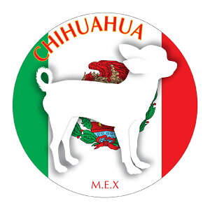 ` X[X }EXpbh z z ObY  CXg  Aj} hbO }EXpbg   Ck VGbg e ANZT[