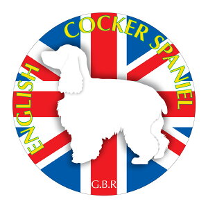 CObVRbJ[XpjG }EXpbh z z ObY  CXg  Aj} hbO }EXpbg   Ck VGbg e ANZT[