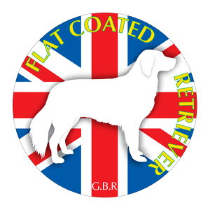 tbgR[ebhg[o[ }EXpbh z z ObY  CXg  Aj} hbO }EXpbg   Ck VGbg e ANZT[