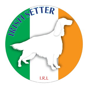 ACbVZ^[ }EXpbh z z ObY  CXg  Aj} hbO }EXpbg   Ck VGbg e ANZT[