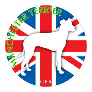 }`FX^[eA Ό}EXpbh z z ObY  CXg  Aj} hbO }EXpbg   Ck VGbg e ANZT[