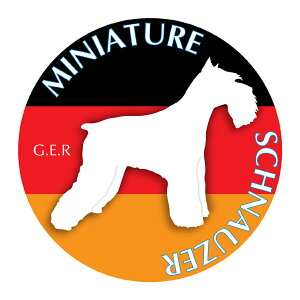 ~j`AEViEU[@ObY XebJ[܂ sLTCYt XebJ[ V[ fJ[ VGbg  J[ V[ fJ[   Ck VGbg e A ANZT[ XebJ[