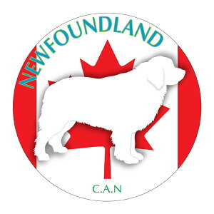 j[t@hh }EXpbh z z ObY  CXg  Aj} hbO }EXpbg   Ck VGbg e ANZT[